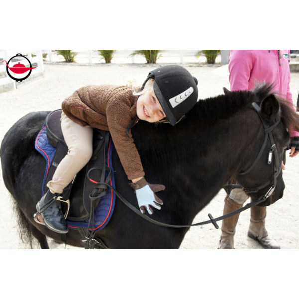 horseback riding supplies