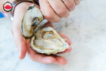 Oyster Shucking Dinner Party for 10