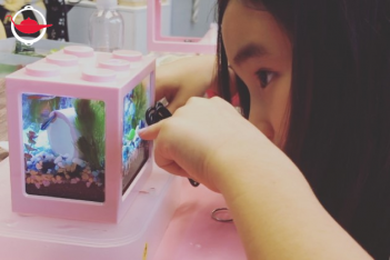 Mini Ecosystem Aquarium Workshop For Two