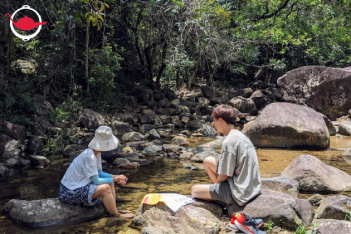 Forest Bathing Experience For Two